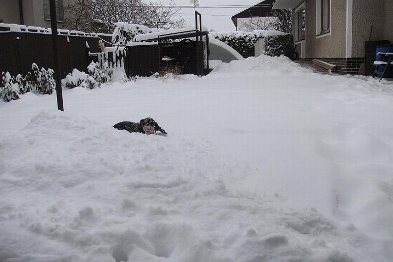 Art_25.1.2010 (10).JPG